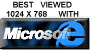MS Internet Explorer
